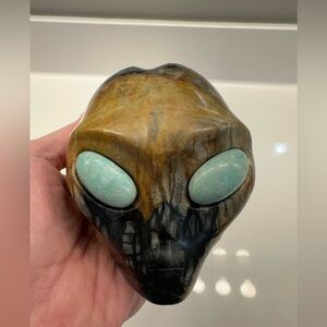 Picture Jasper Alien Head